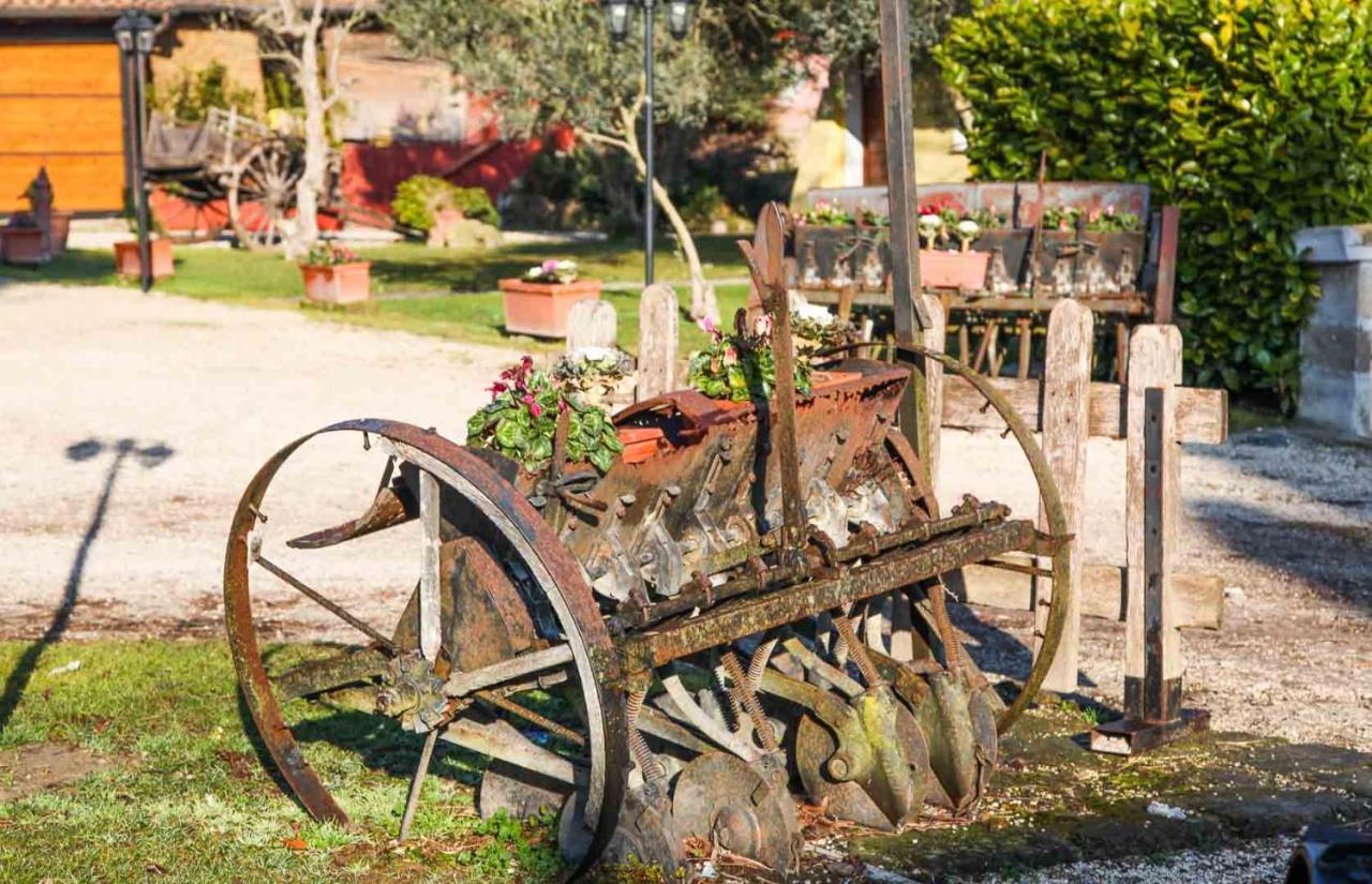רומא Agriturismo La Melazza מראה חיצוני תמונה